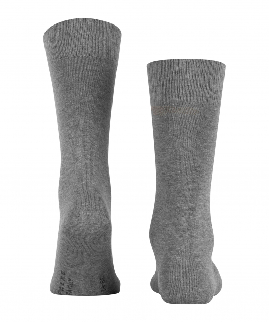Falke Family SO Socken in Grau