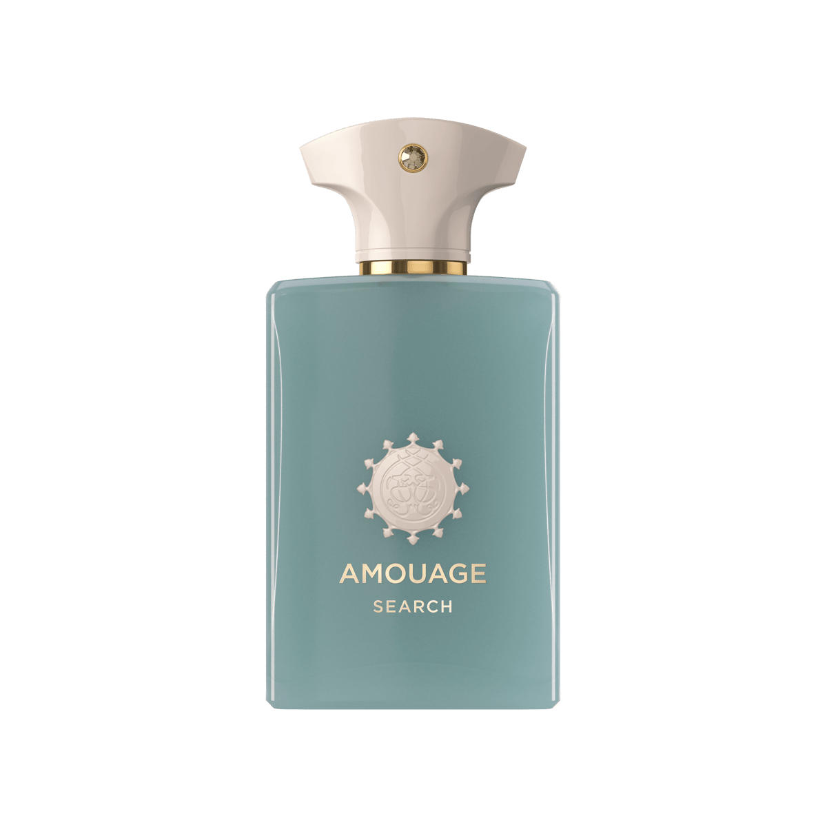 Search Man Eau de Parfum 100ml