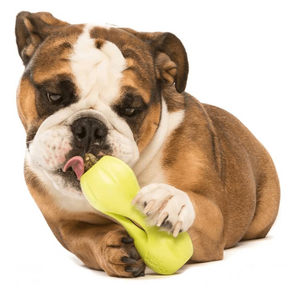 Jouet de puzzle pour chiens qwizl taille l vert 3541