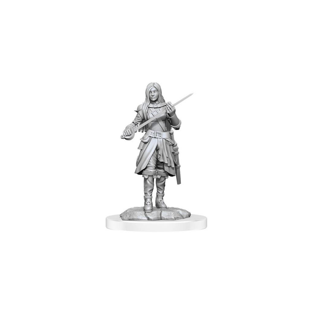 D&D Nolzur's Marvelous Unpainted Miniatures: Half-Elf Rogue Female
