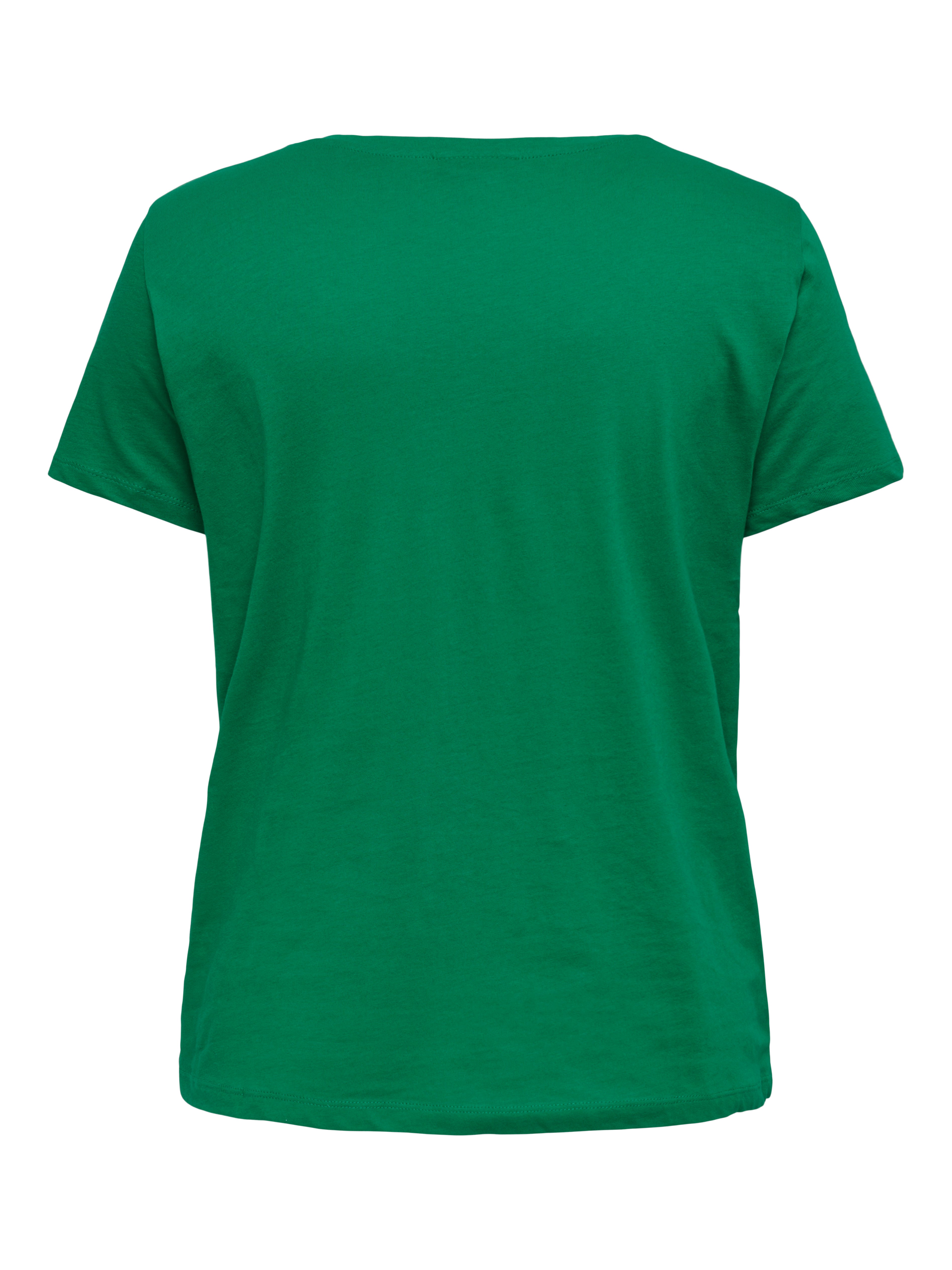 CARXMAS T-shirt Lush Meadow