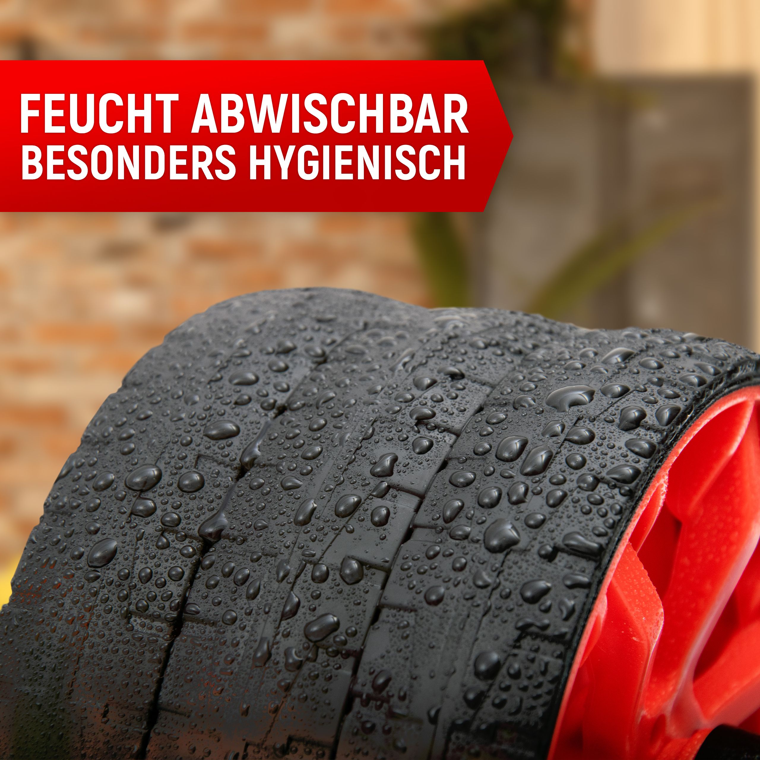 NEOLYMP ABS Bauchroller