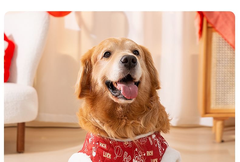 2 nachten - Chinees Nieuwjaar Print Pet Top