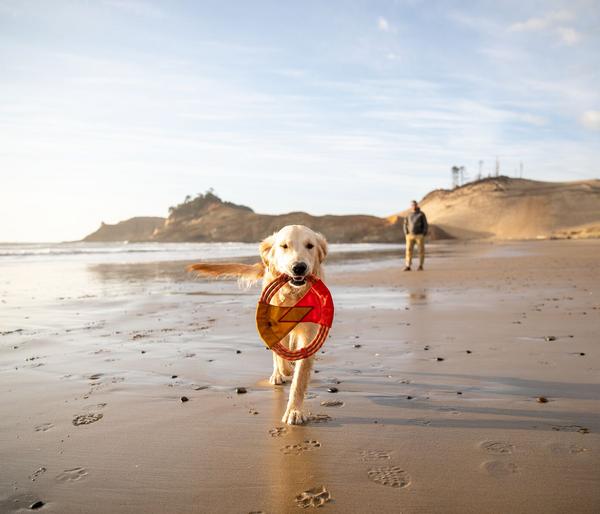 RUFFWEAR® Hundespielzeug Pacific Ring™