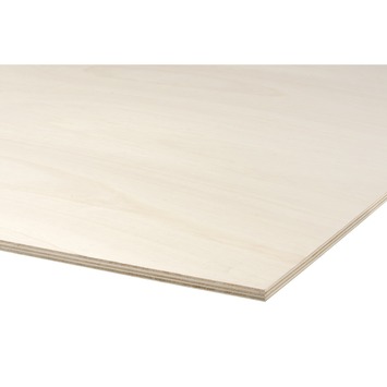 Populieren multiplex 244x122 cm dikte 12 mm