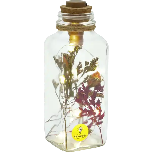 LED-GLAS MIT TROCKENBLUMEN
