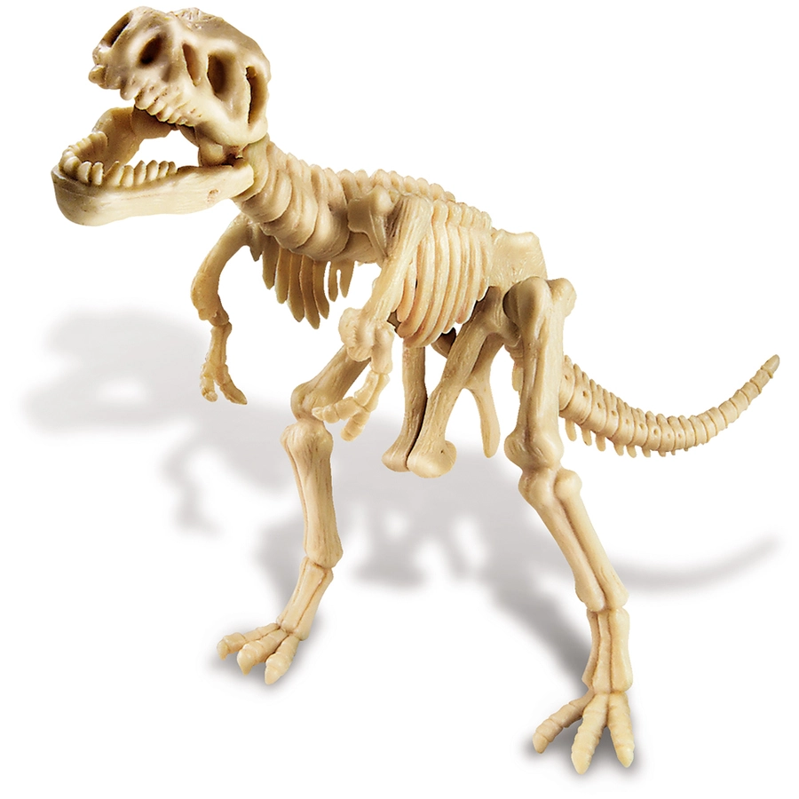 4M KidzLabs - Dinosaurier Ausgrabung T-Rex Mehrfarbig