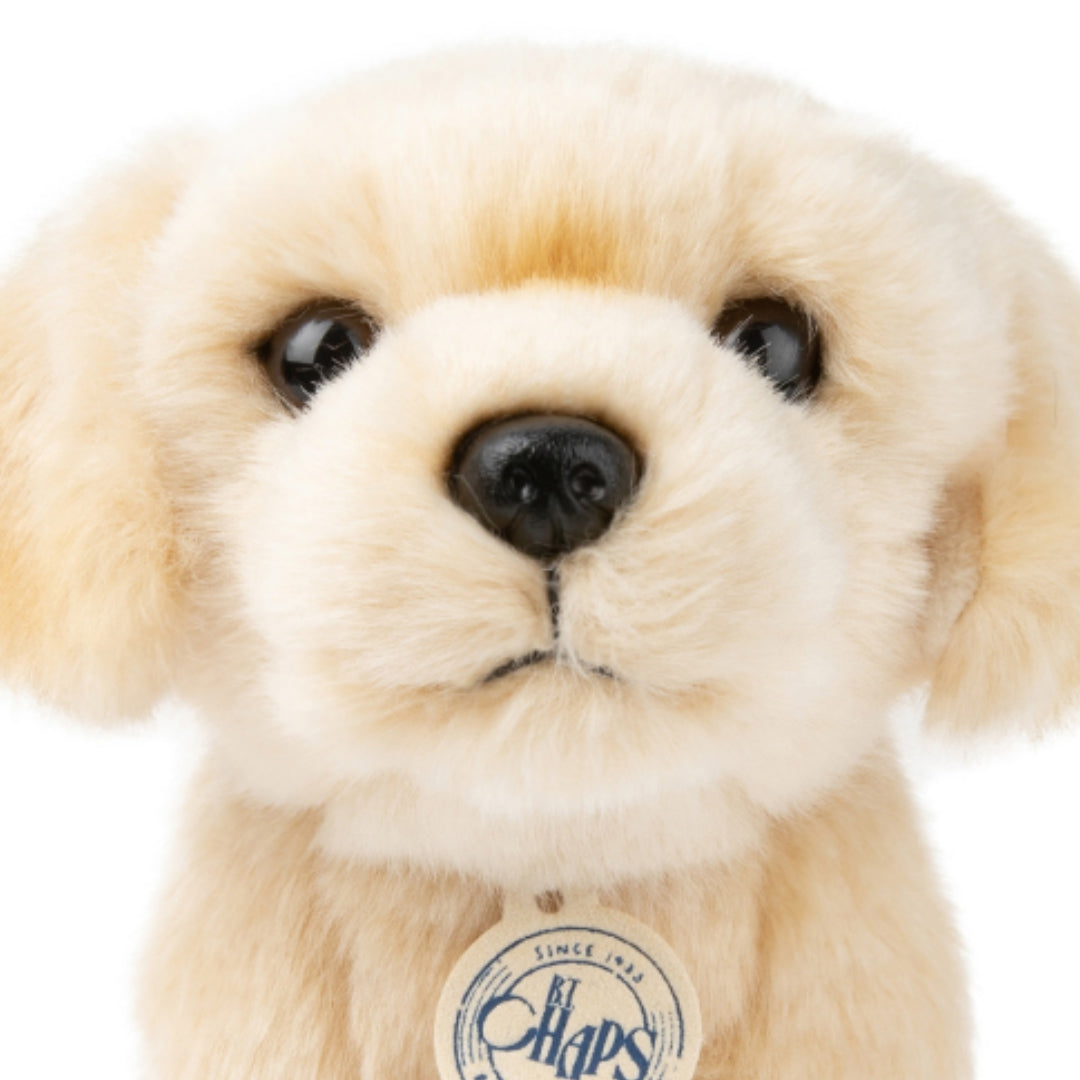 B.t. chaps knuffelhond loulou the labrador - 20 cm