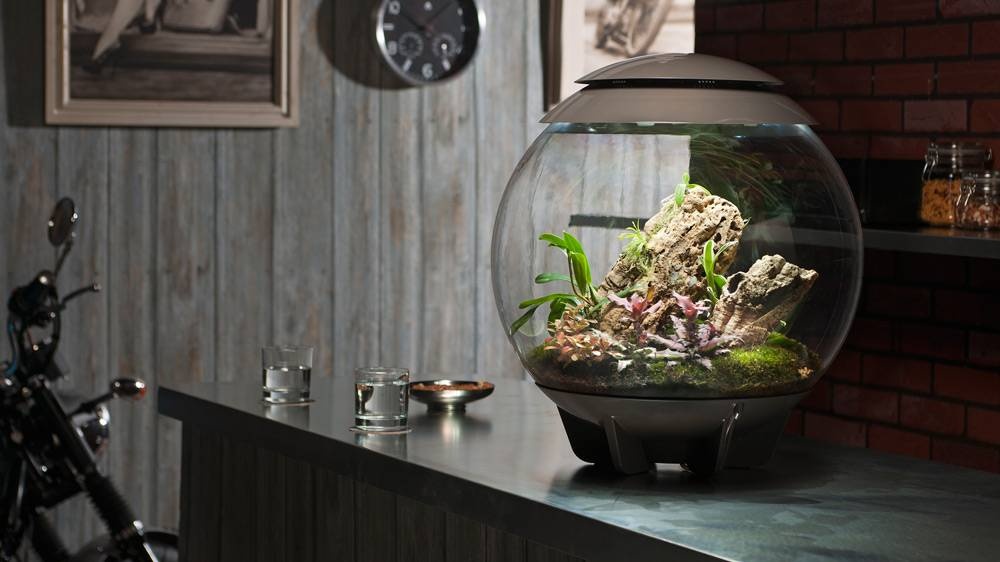 biOrb Air 60 Grijs | Terrarium