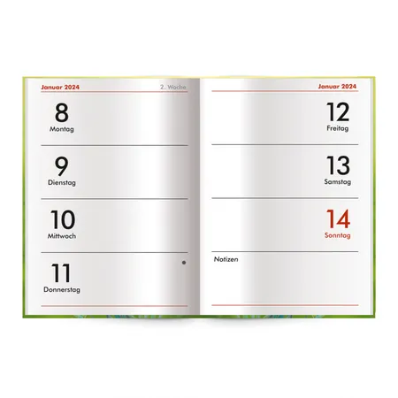 Trötsch Taschenkalender Schmetterling A7, 2024