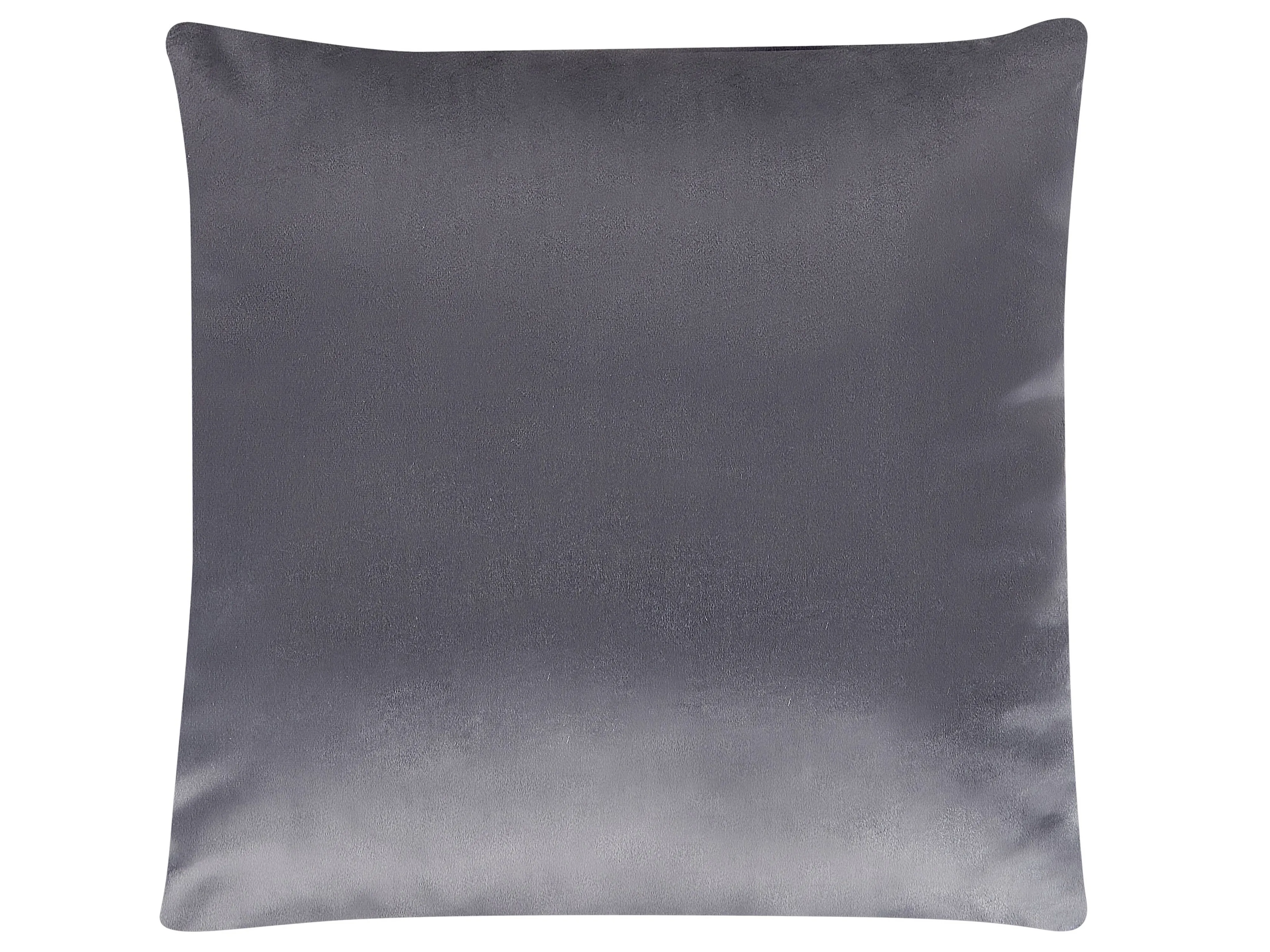 Set van 2 sierkussens ASPIDISTRA Fluweel 45 x 45 cm Grijs geometrisch patroon