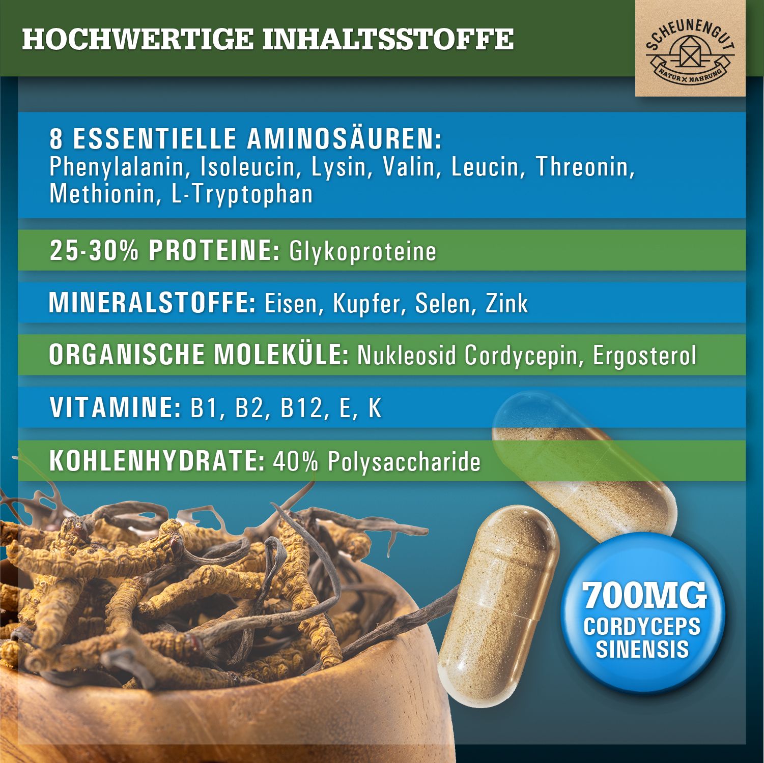 Scheunengut® Cordyceps Sinensis CS-4 Extrakt | 10:1 Raupenpilz Extrakt mit 40% Polysaccharide