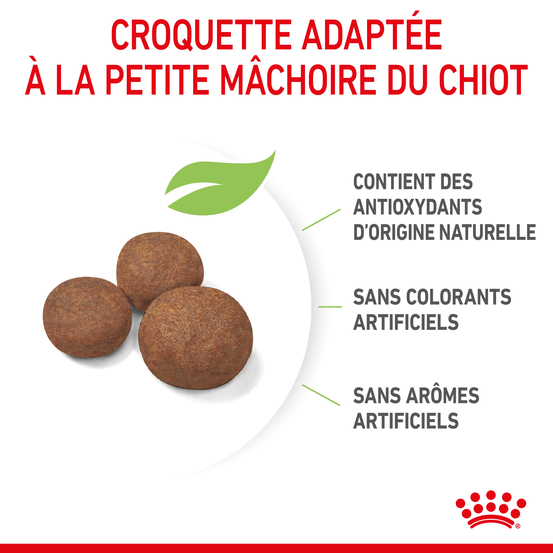 Croquettes chiot moyen Puppy Medium de 2 à 12 mois 15kg