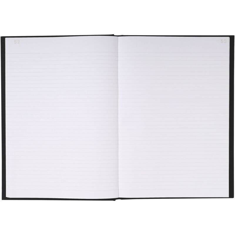 Registre Travers Le Dauphin 208 pages lignées foliotées 21 x 29,7 cm - 397209D