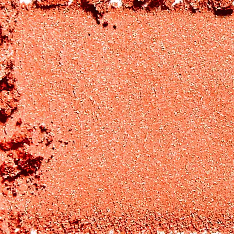 L'Oréal Paris Cosmetics Blush of Paradise 9 gr. - 01 Life is a Peach