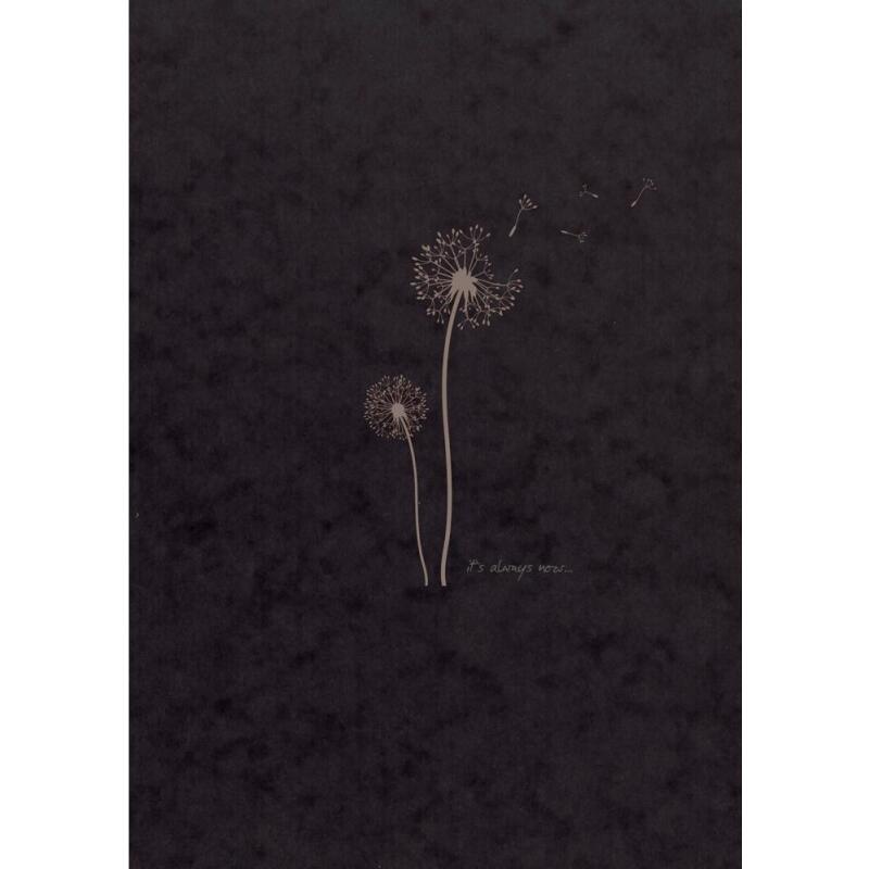 Flying Spirit bloc collé 50F 16x21cm 90g - Noir
