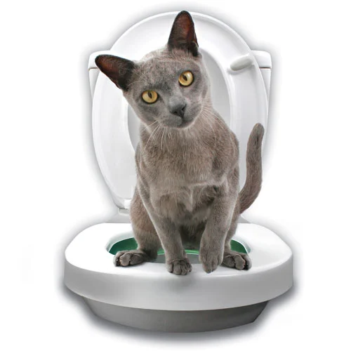 Kit inicial Litter Kwitter com anéis para vaso sanitário para gatos