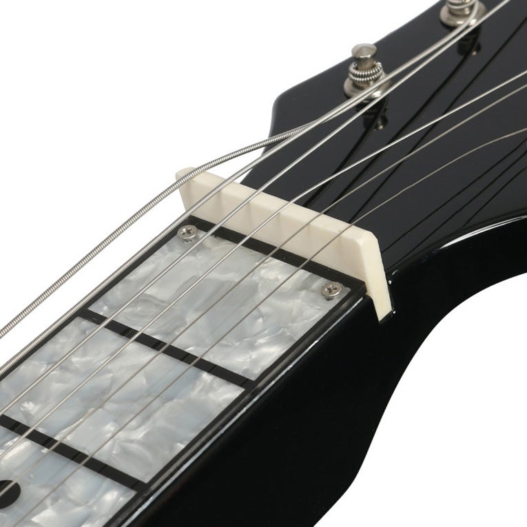 Recording King RG-32SN lap steel gitaar