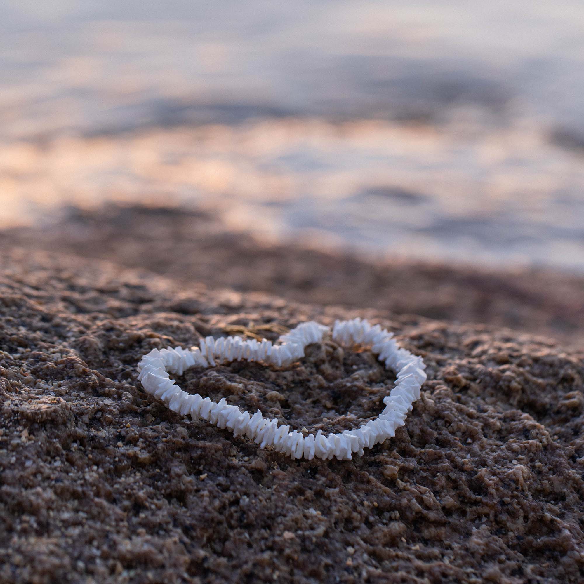 White Shell Kette - PURELEI
