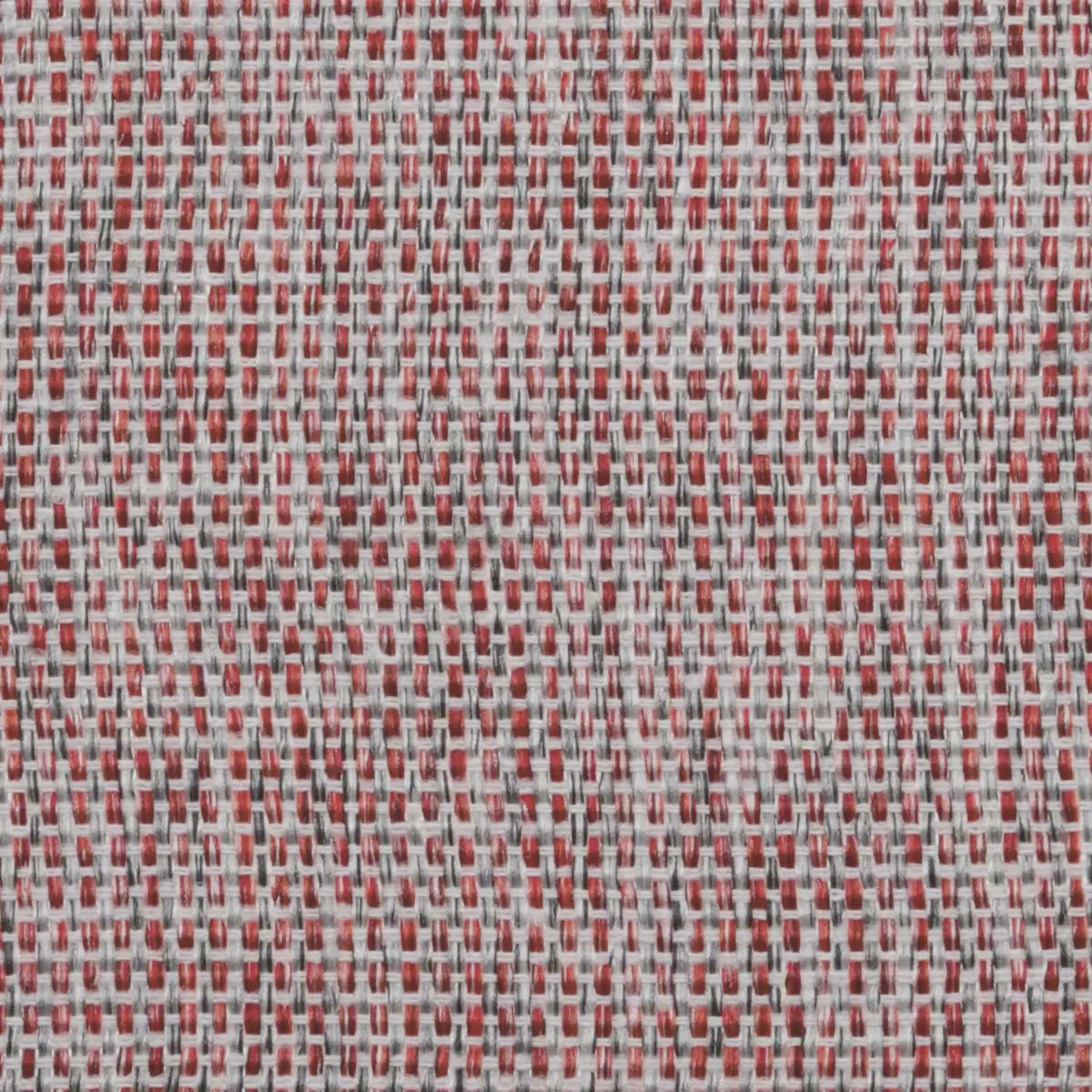 Nachtvorhang Bicolor Rot