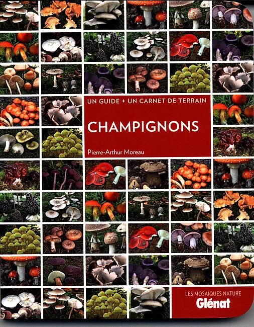GLENAT - CHAMPIGNONS