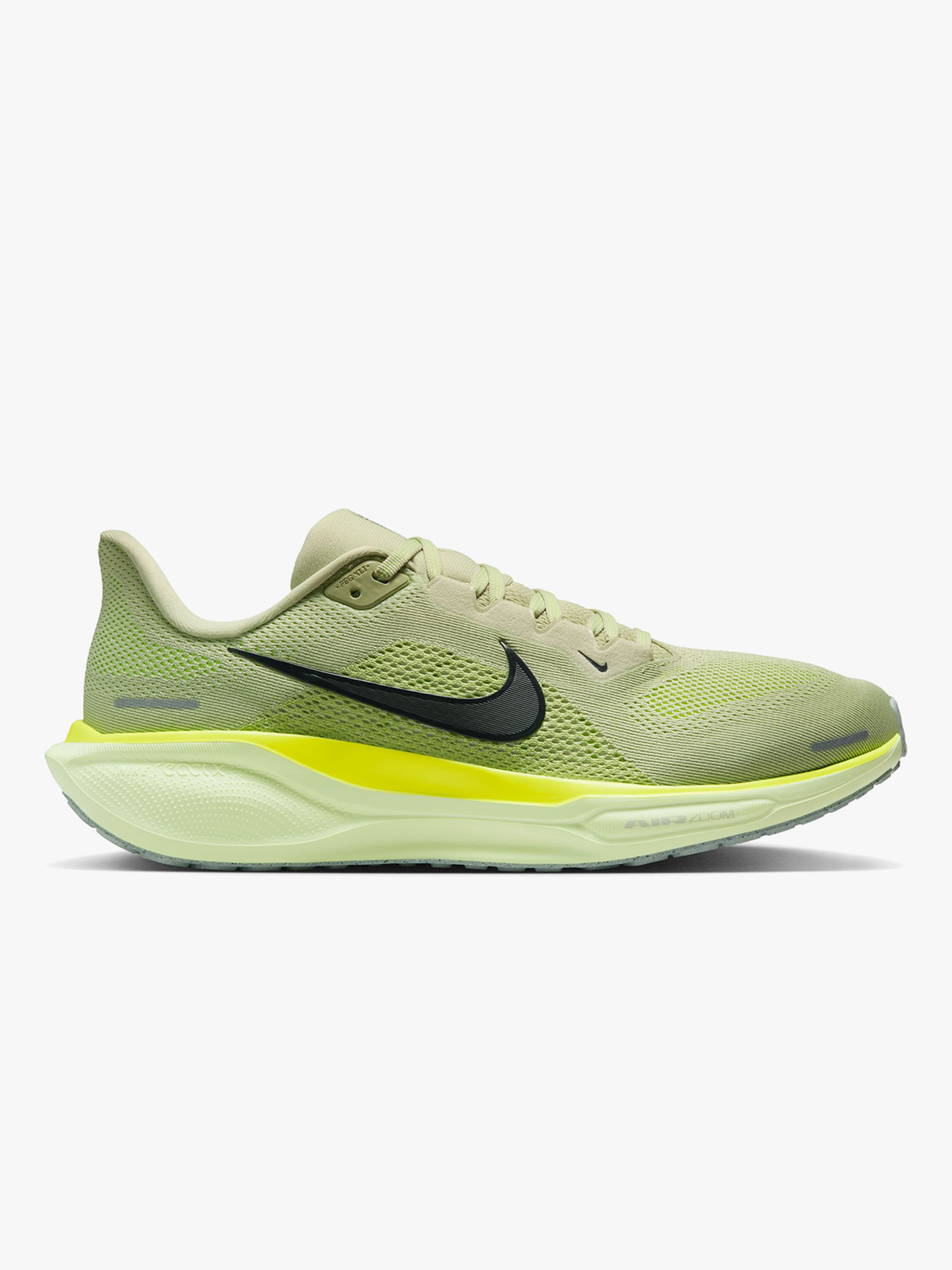 Pegasus 41