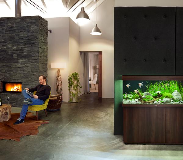 JUWEL® AQUARIUM Rio 240 LED