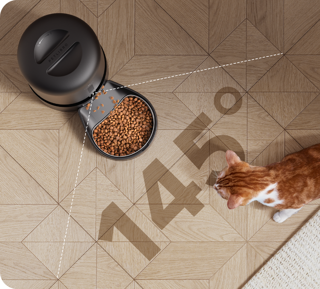 PetLibro - Automatic Cat Black Feeder with Camera
