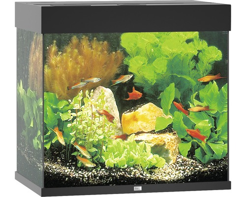 JUWEL Lido 120 aquarium met LED-verlichting, pomp, filter, verwarming (zonder kast), zwart