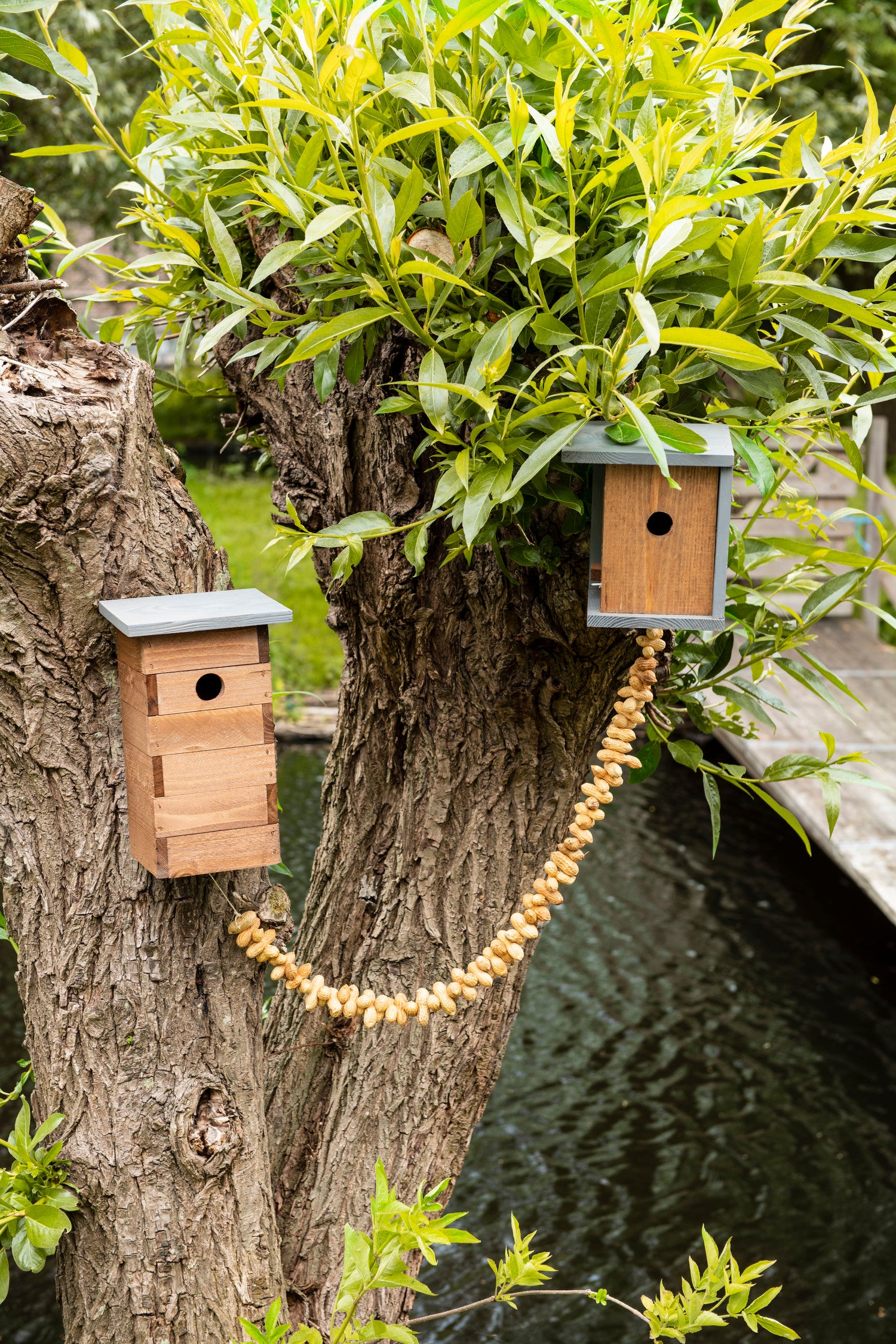 Intratuin nestkast huismus 17 x 15 x 29,3 cm