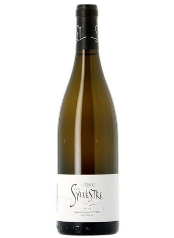 Saint-Sylvestre - Saint Sylvestre