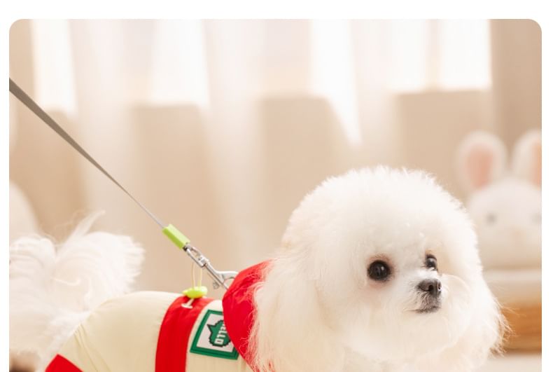 Cissilli - Letterapplicatie Pet Overall met capuchon
