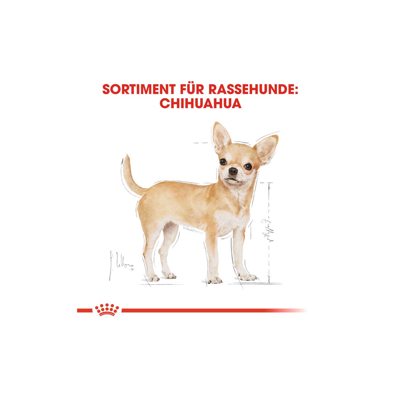 ROYAL CANIN Chihuahua Adult Mousse 12x85 g