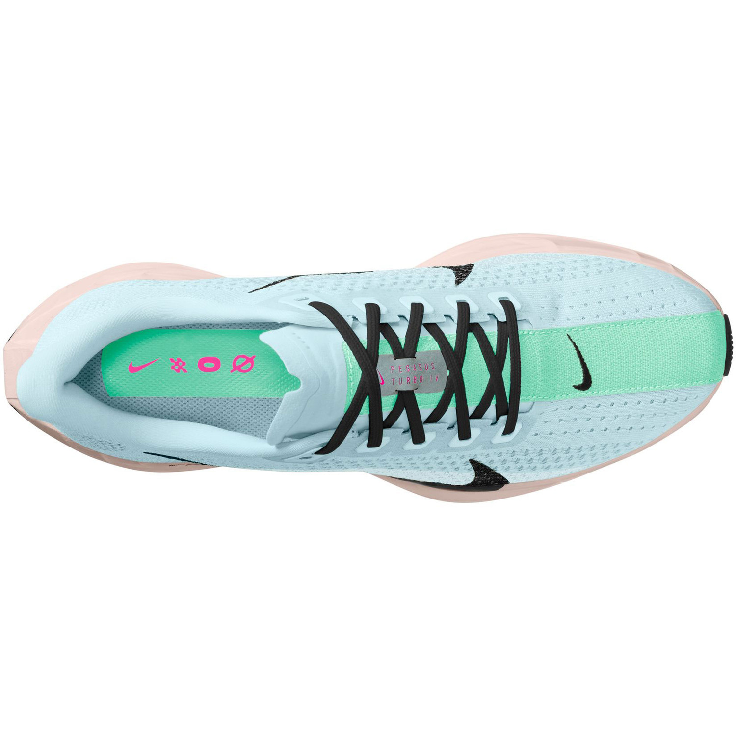 Nike Pegasus Plus Heren