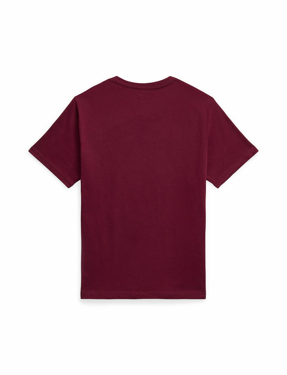 POLO RALPH LAUREN<br>Camiseta de manga curta