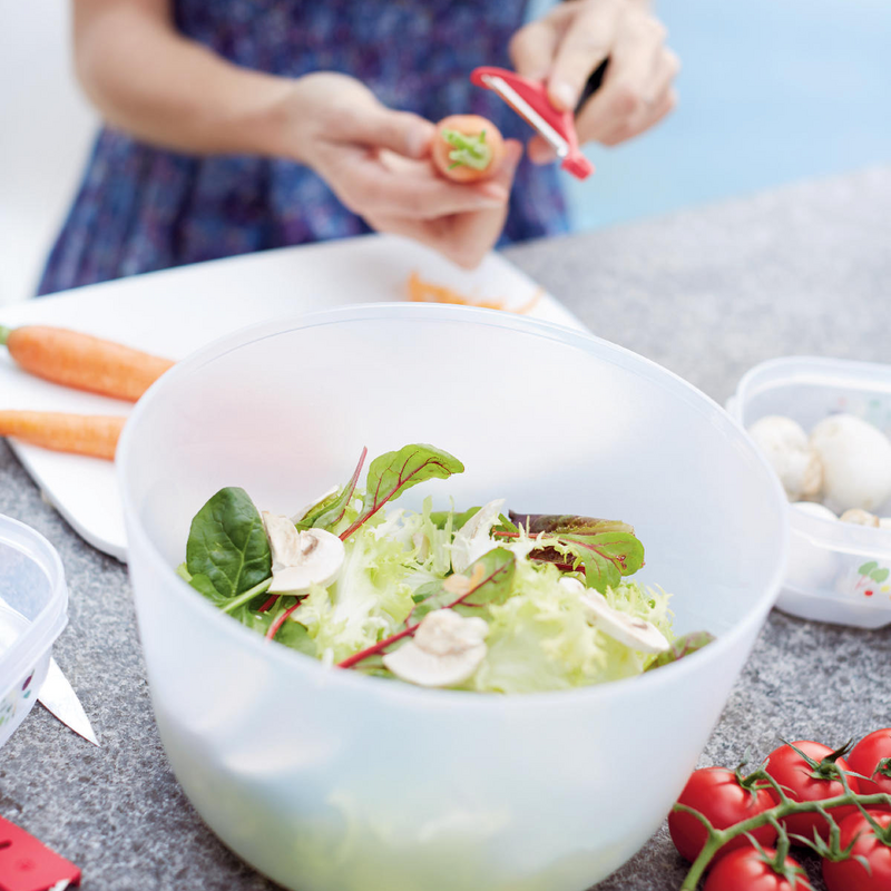 Salatkarussell Salatkarussell - das 3-in-1-Produkt