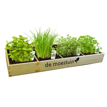 Moestuin Kruiden: Basilicum, Peterselie, Oregano en Bieslook