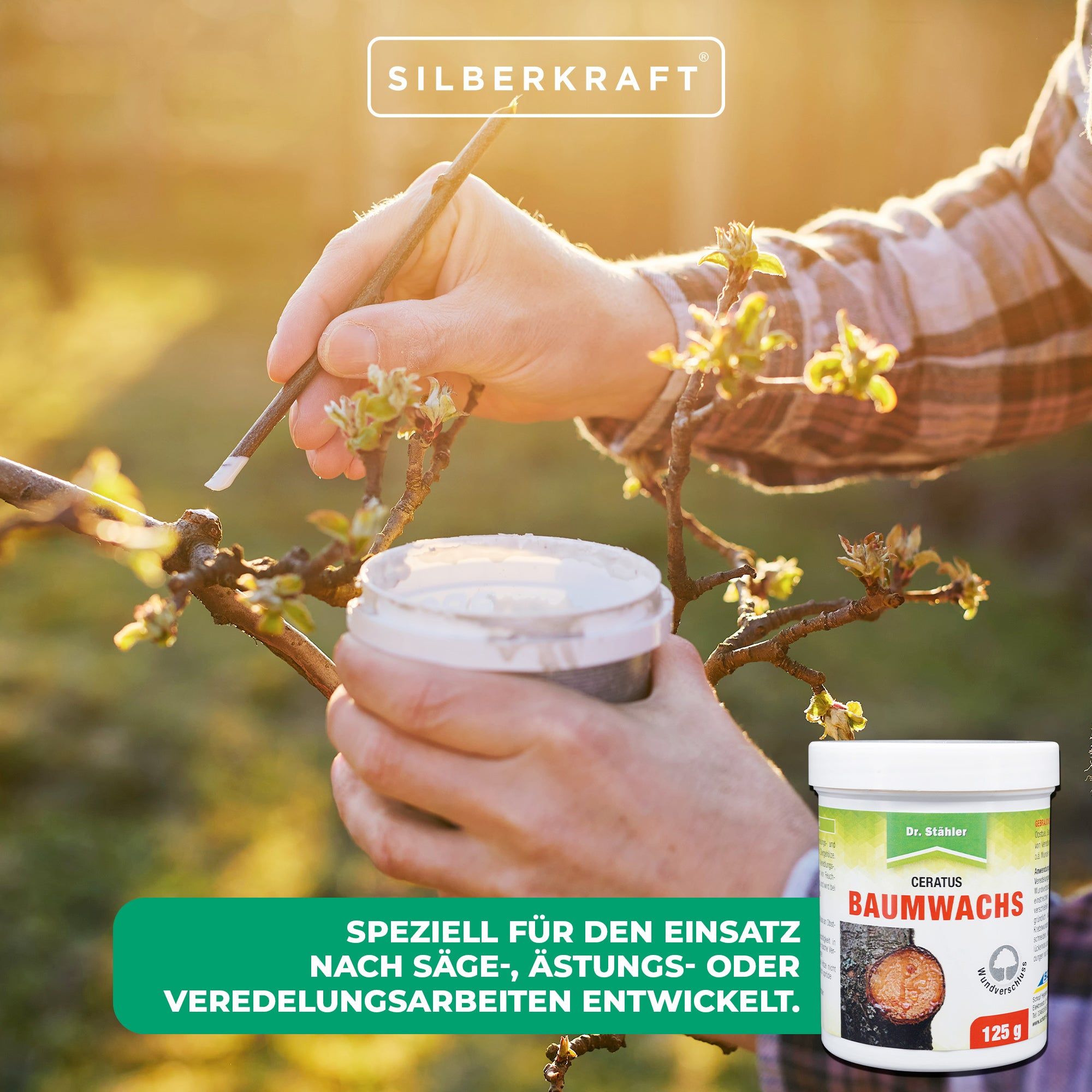 SILBERKRAFT Ceratus Baumwachs