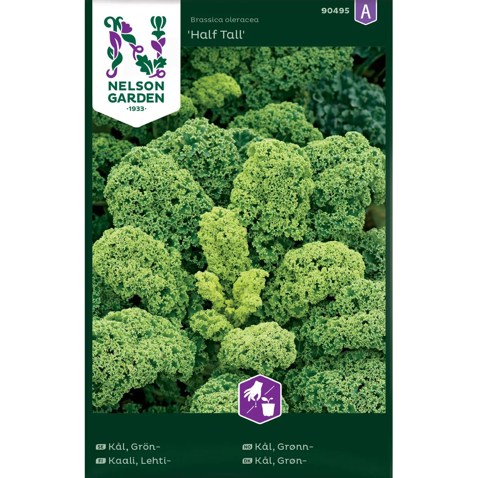 Brassica oleracea 'Half Tall' Grønnkål 'Half Tall'