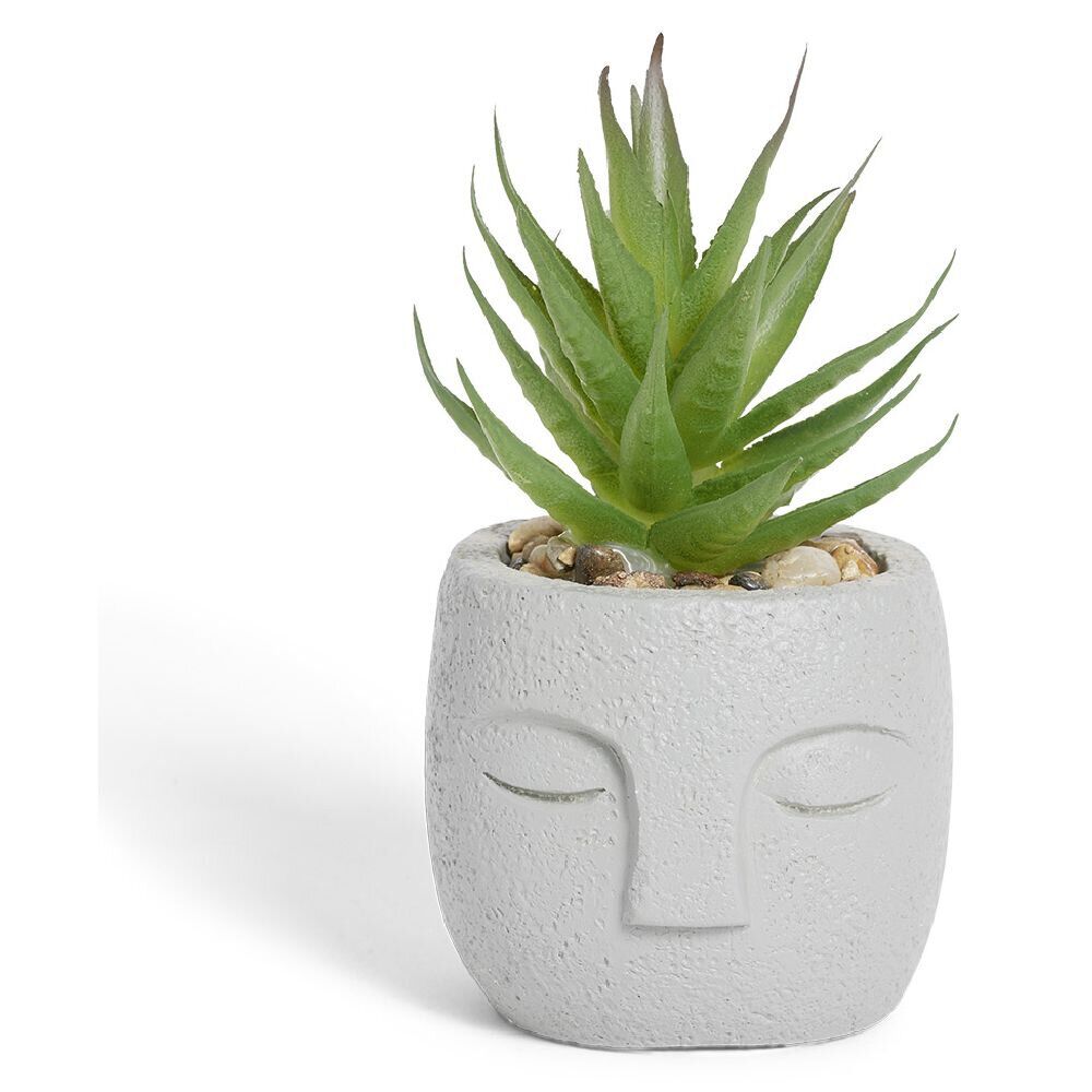 Plante artificielle pot ciment forme visage Ø6,5xH9cm
