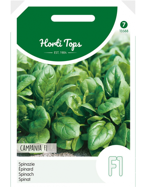 Hortitops Spinazie Campania F1 - Groentezaden - 50 g