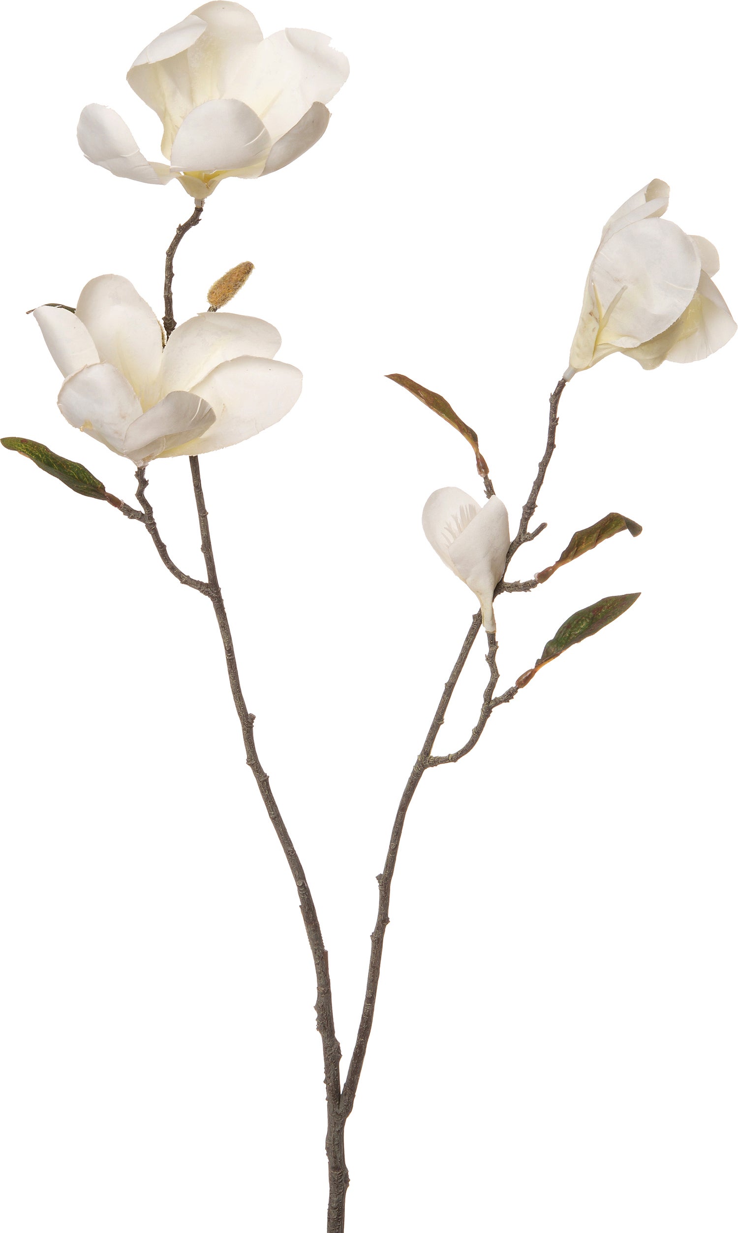 Intratuin kunstbloem Magnolia 76 cm crème