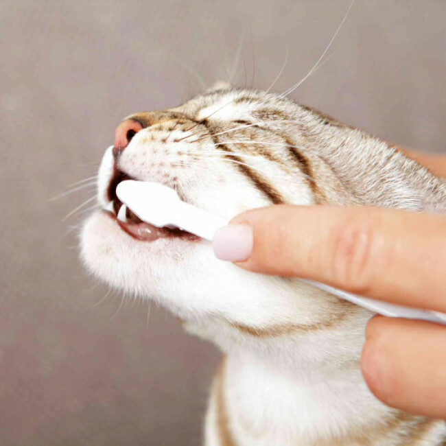 Kit d'hygiène dentaire pour chien et chat Trixie