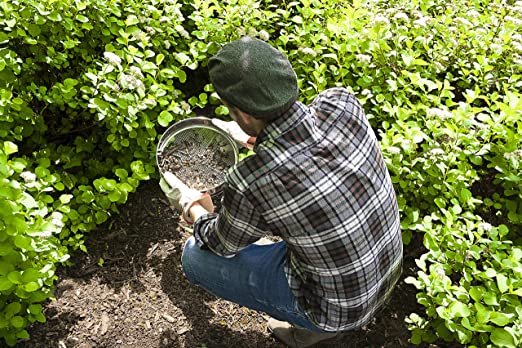 (Ø30cm) 5in1 Edelstahl Garten Sieb Saatgut Bodensieb für Erde / Steine / Kompost / Unkraut / Schotter - Silber