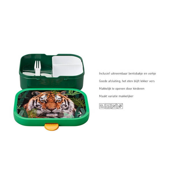 Lunchbox Campus - Wild Tiger