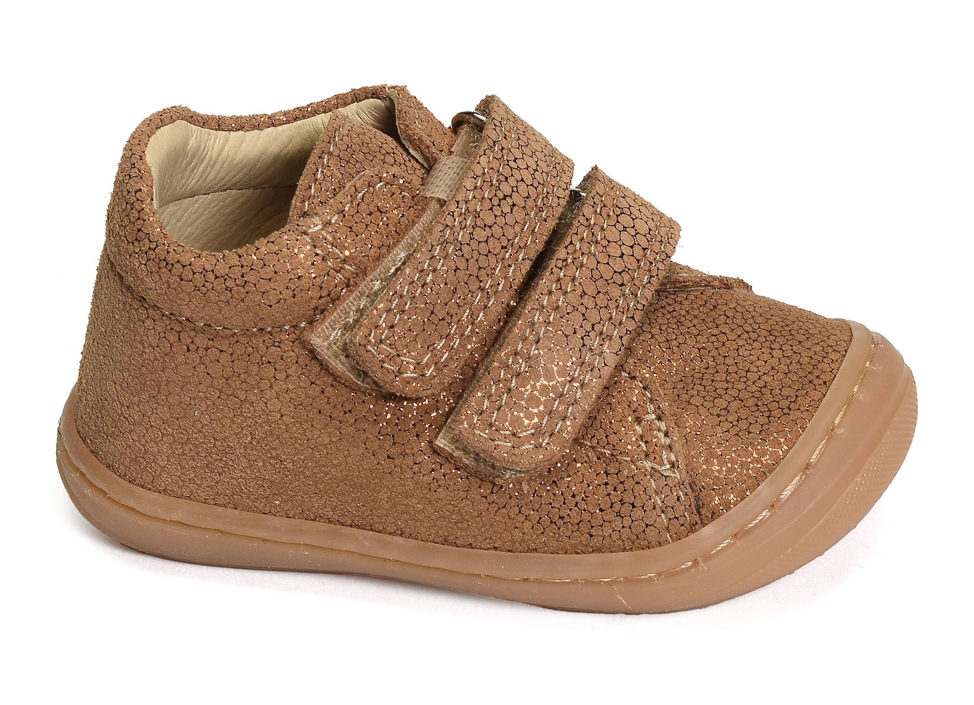 Stella camel