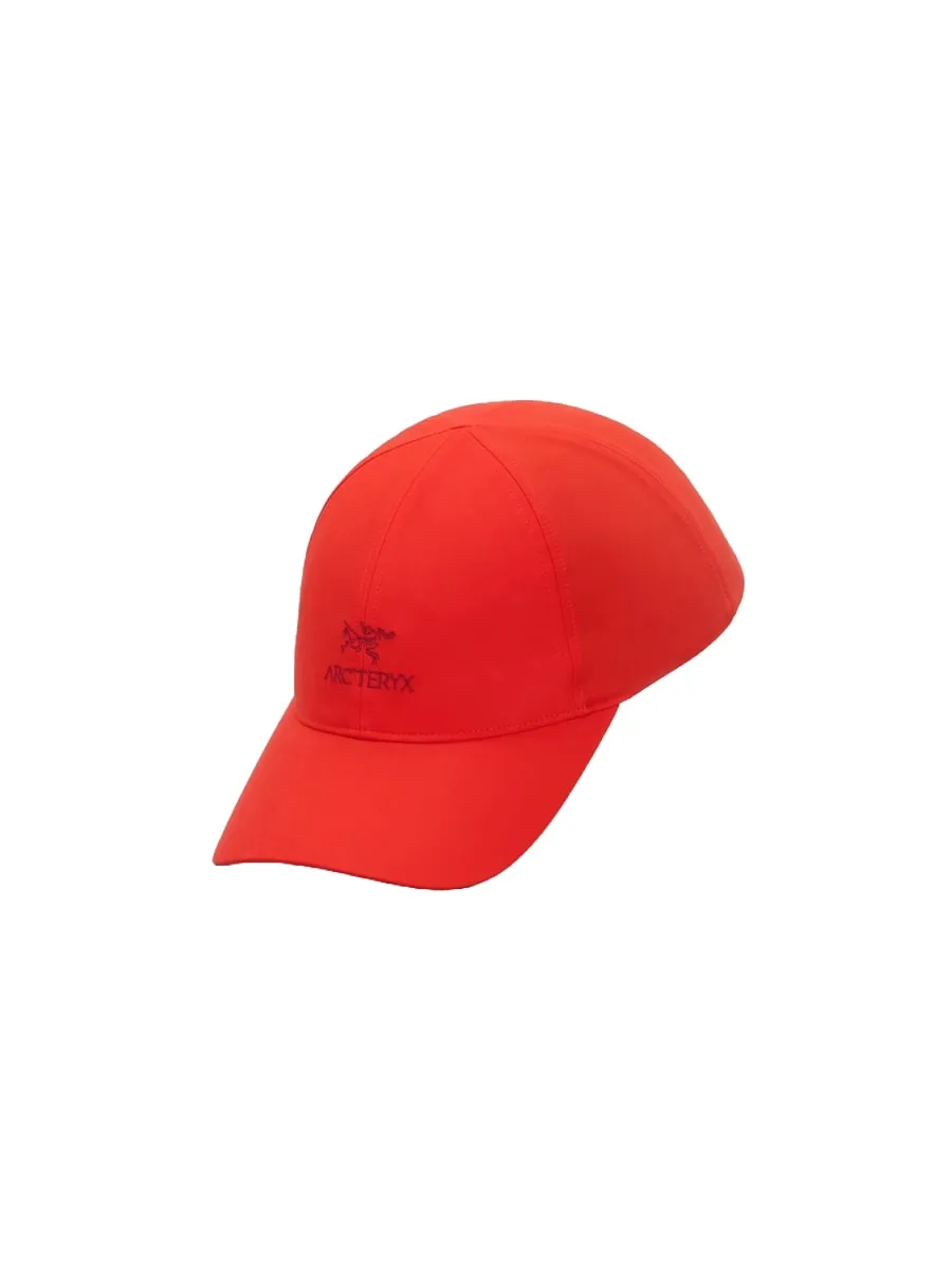 Arc'teryx Bird Word Cap Dynasty