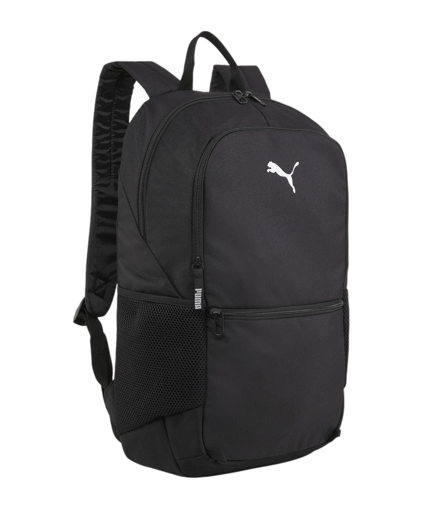 PUMA teamGoal Ballnetz Rucksack Schwarz F01