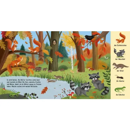 Esslinger Verlag Mein erstes Natur-Wimmelbuch: Tiere im Wald