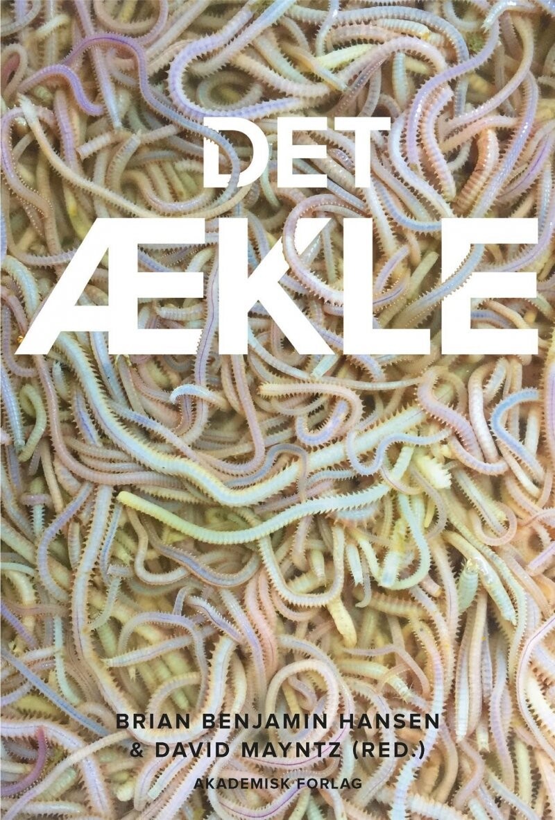 Det Ækle - Brian Benjamin Hansen - Bog